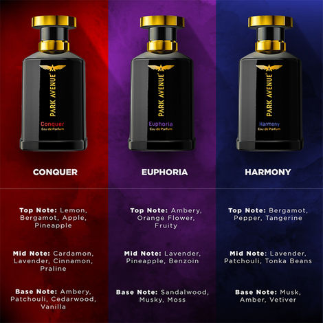Park Avenue Euphoria Eau De Parfum Premium Perfume for Men