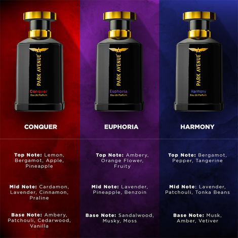 Park Avenue Harmony Eau De Parfum Premium Perfume for Men