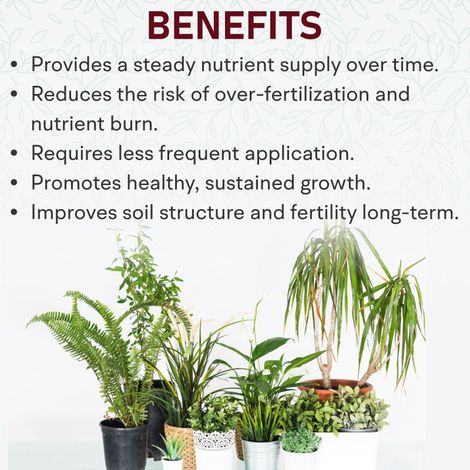Garden Genie Indoor Plant Fertilizer | Organic Plant Khad for jade, zz, money plant etc