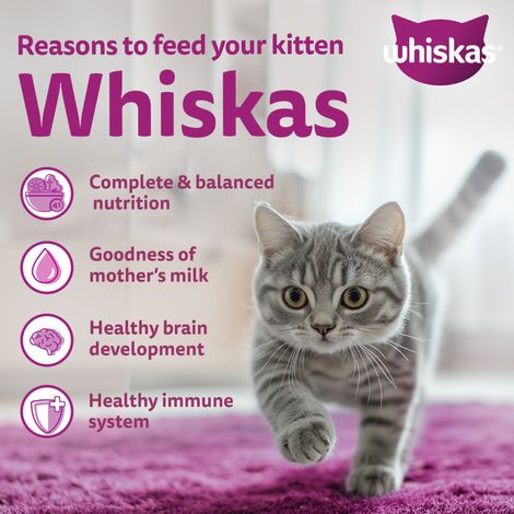 Whiskas Kitten Mackerel Flavour Dry Cat Food