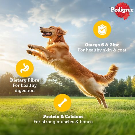 Pedigree Adult Chicken & Liver Chunks In Gravy Wet Dog Food