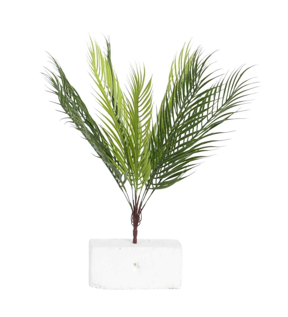 Casacraft by Pepperfry PVC Artificial Areca Plant | Without Pot