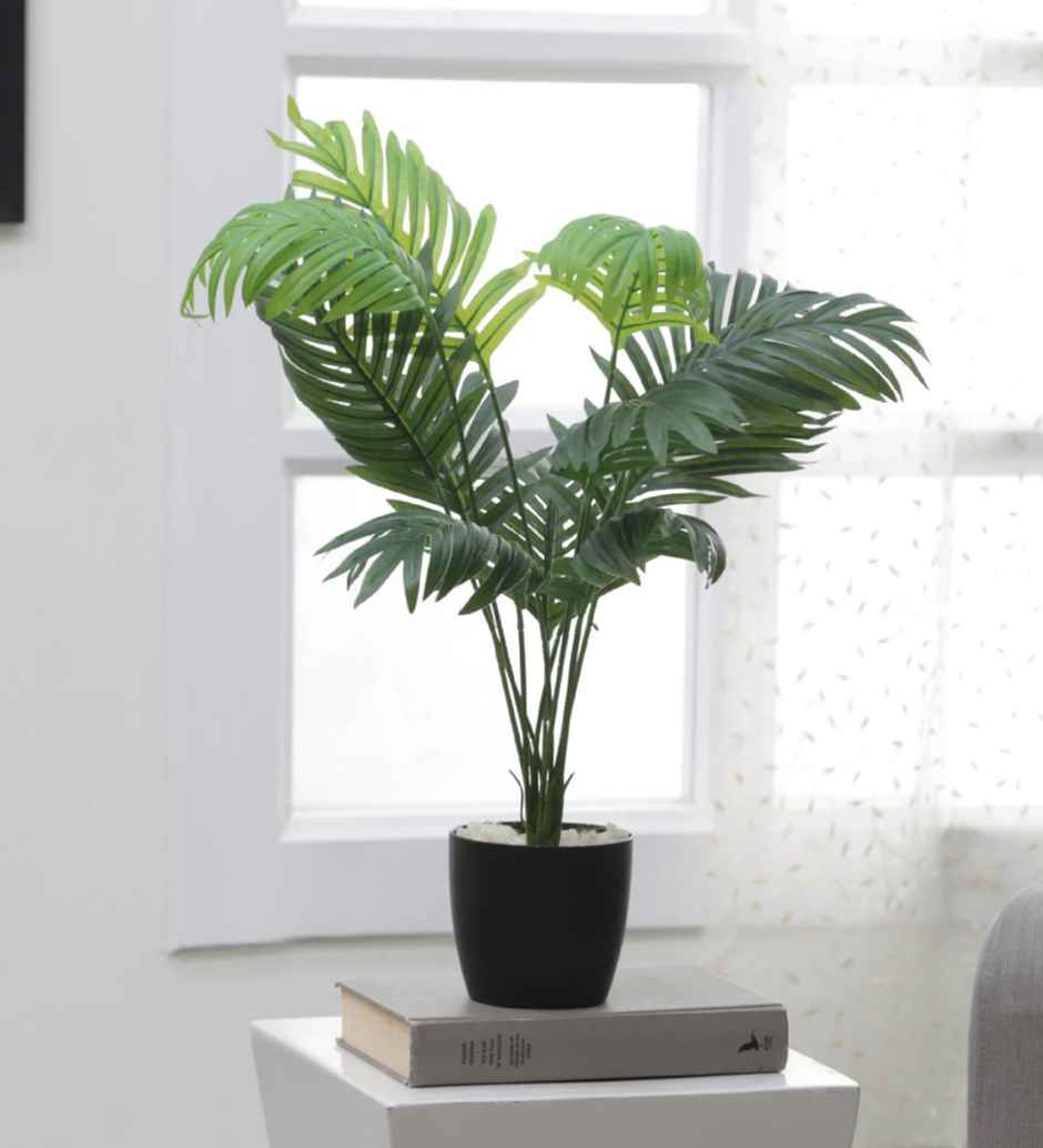 CasaCraft Pepperfry Artificial Areca Palm Natural Looking Indoor Plant 12 Leaves for Home Decor