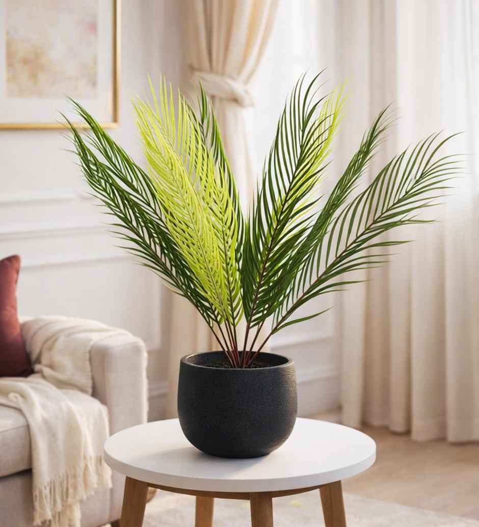 Casacraft by Pepperfry PVC Artificial Areca Plant | Without Pot