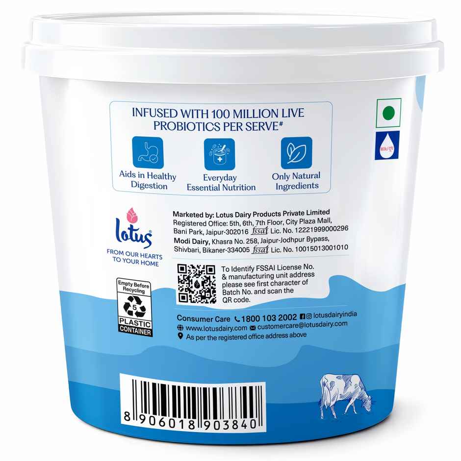 Lotus Creamy Delight Probiotic Dahi Tub