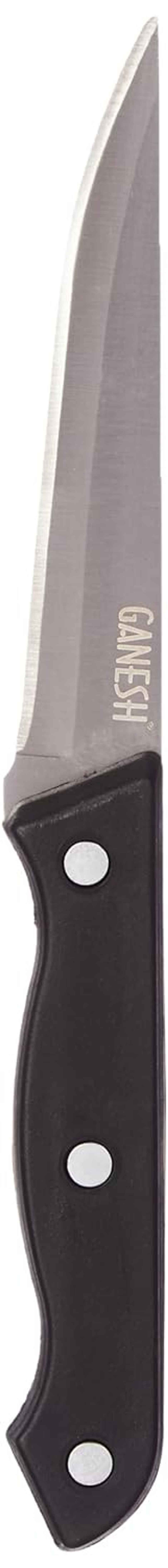 Ganesh Stainless Steel Fruit Knife Vegetable Cutting Chopping Serrated Edge - Color May Vary