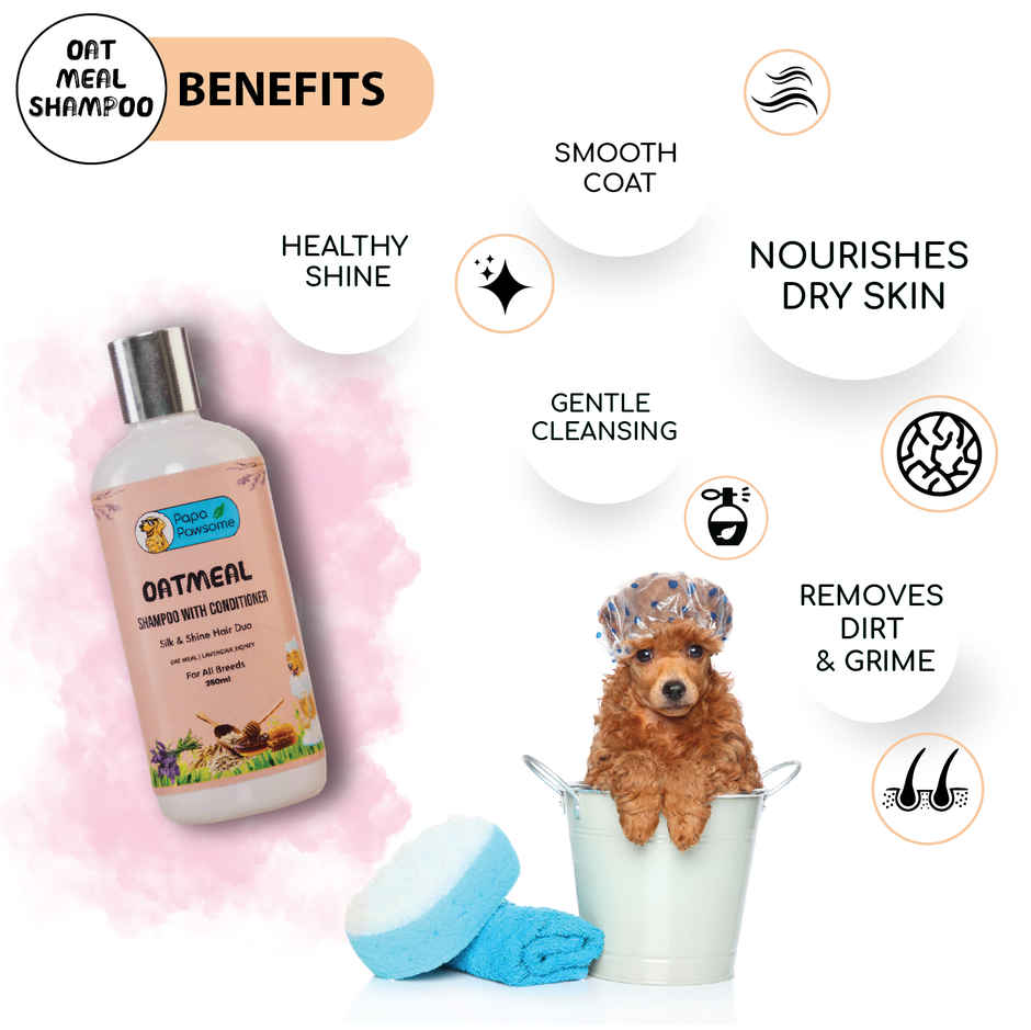 Papa Pawsome Oatmeal Shampoo With Conditioner