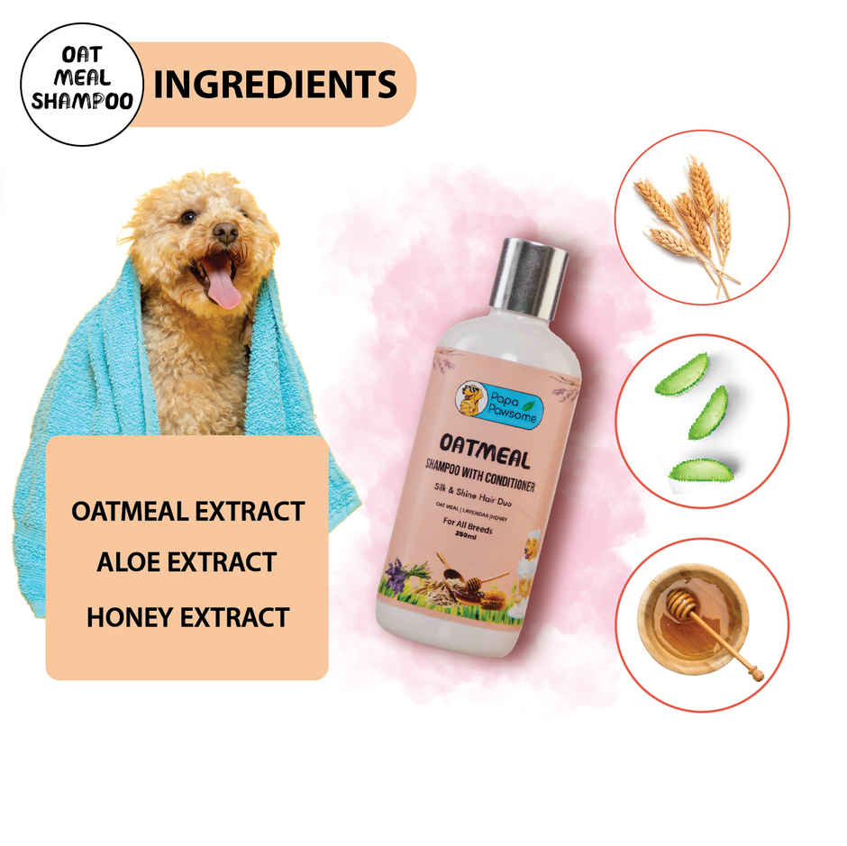 Papa Pawsome Oatmeal Shampoo With Conditioner