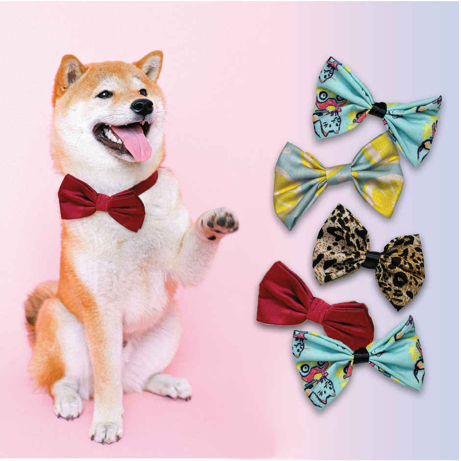 Papa Pawsome Handmade Bow Tie, Assorted , 1 Piece