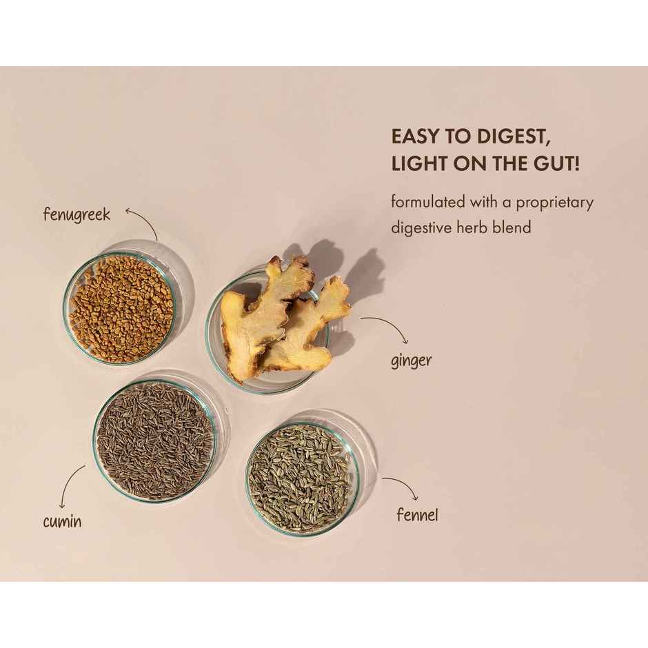 Cosmix No-Nonsense Plant Protein Ratnagiri Mango, 23g Protein