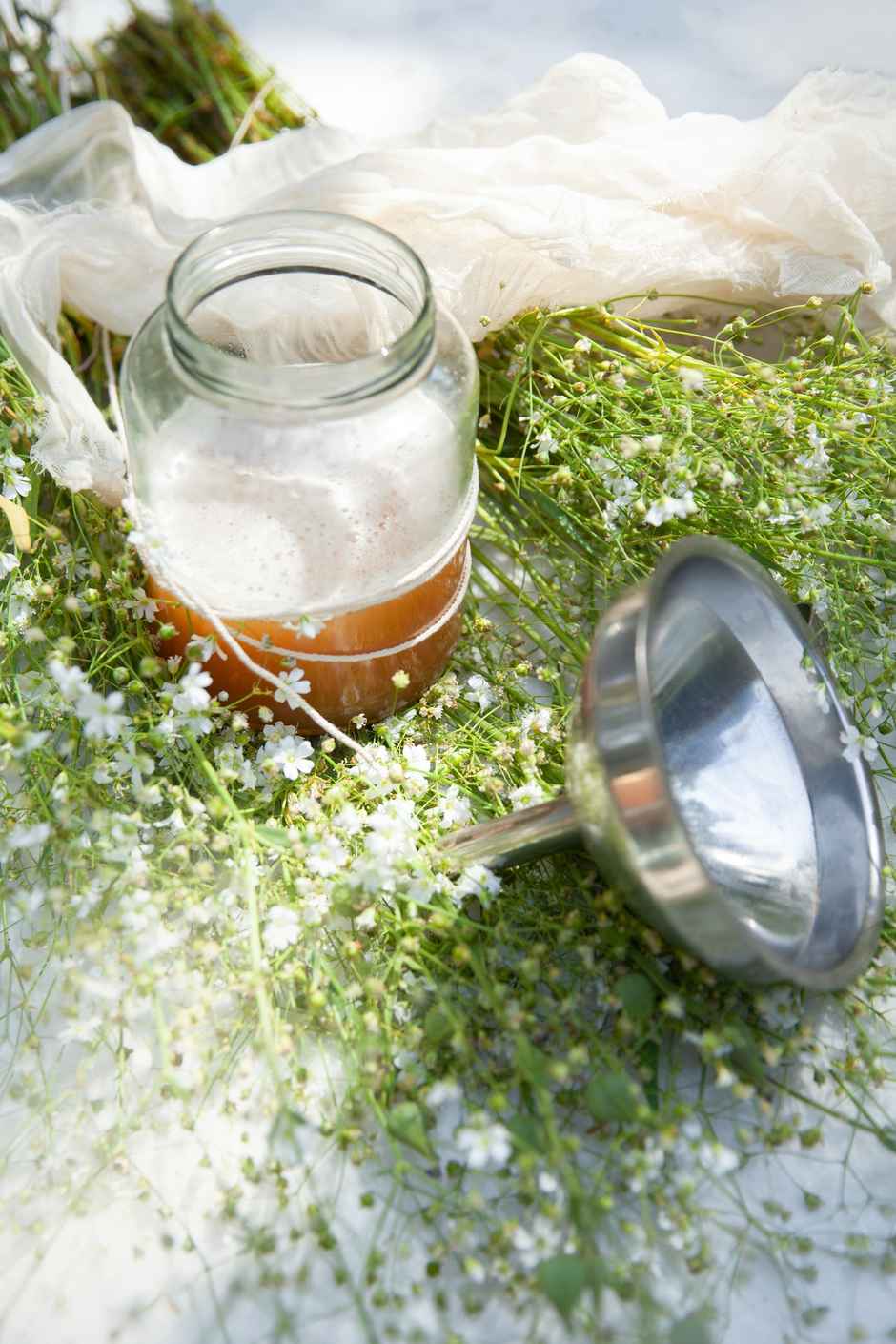 Local Ferment Co. Ginger Lime Kombucha