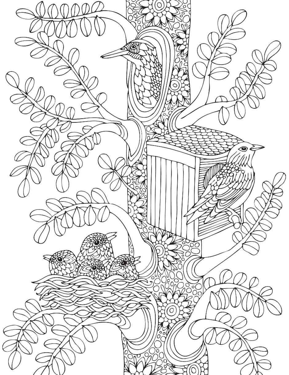 Dreamland Nature Adult Colouring Book