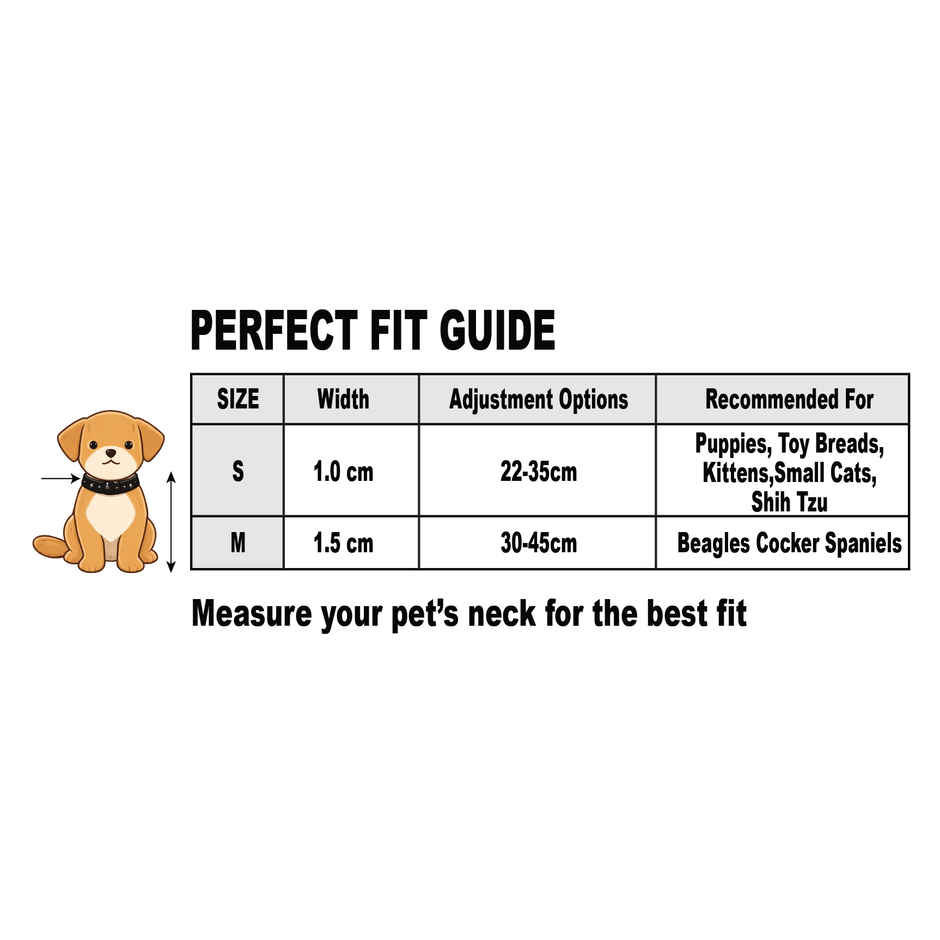Hunter London Collar For Dog, Small, Black