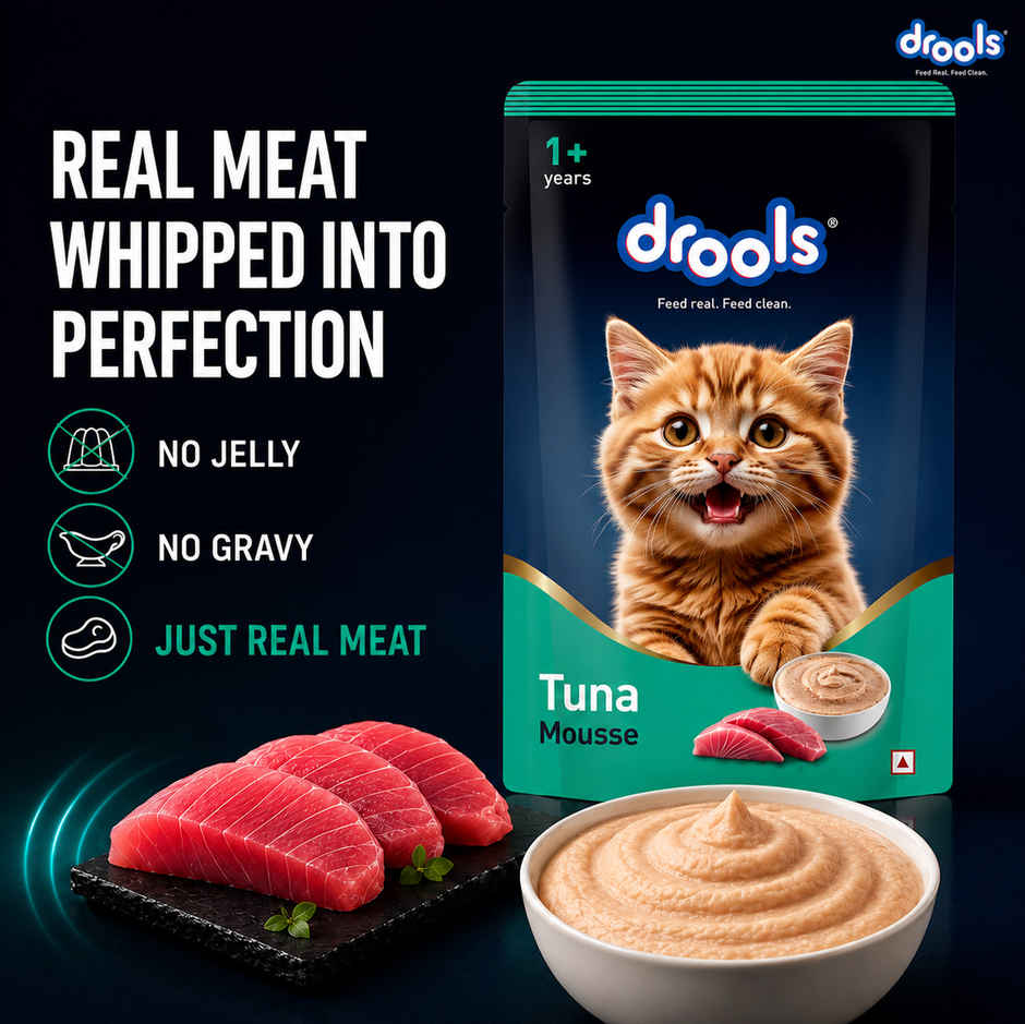 Drools Tuna Mousse Adult Cat Wet Food 80gm