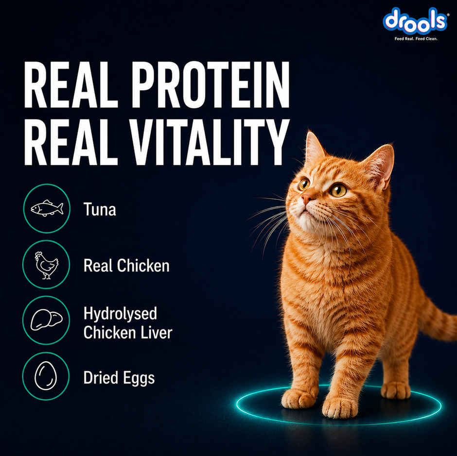 Drools Tuna Mousse Adult Cat Wet Food, 80g (4+1 Free Pack)