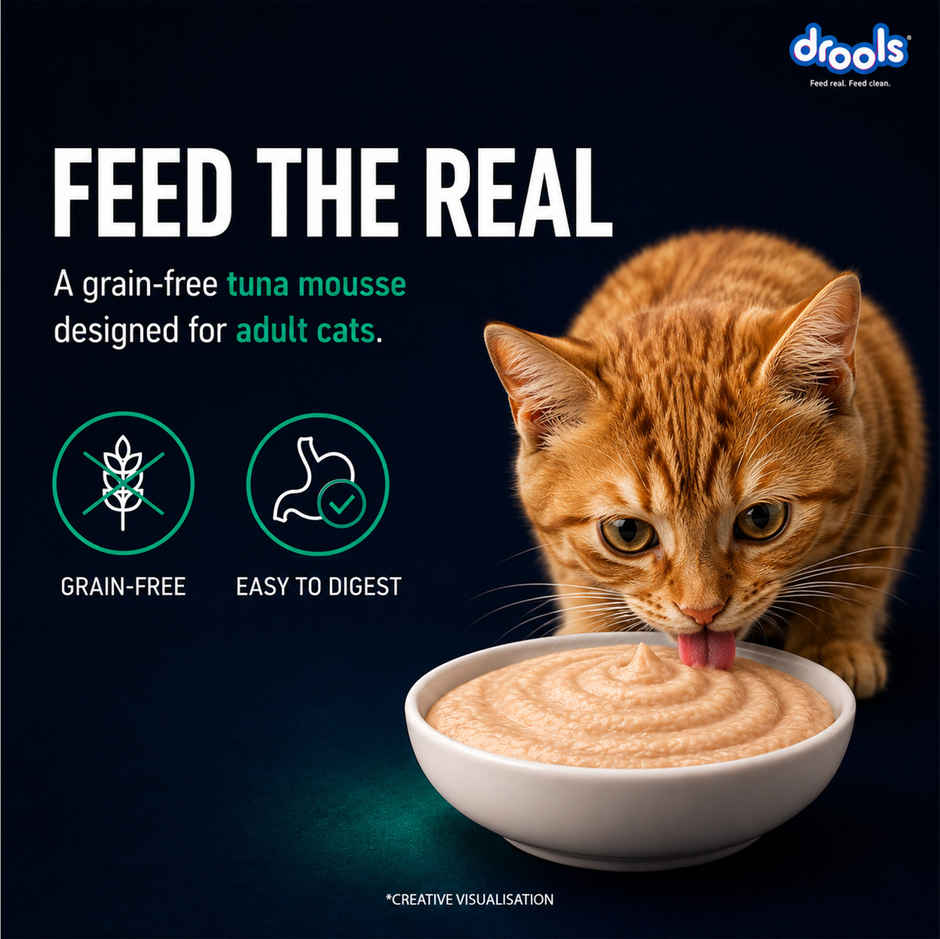 Drools Tuna Mousse Adult Cat Wet Food, 80g (4+1 Free Pack)