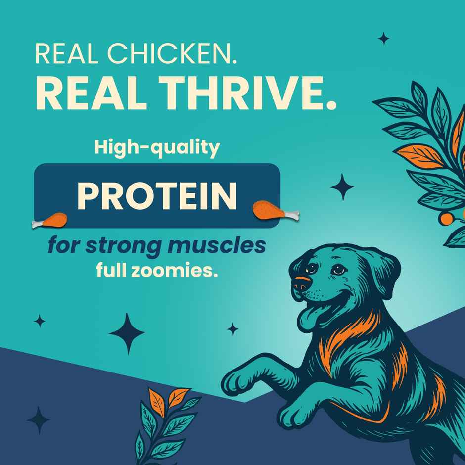 Bark Out Loud Thrive Dog Food Chicken Flavor Adult Dogs 800g All Breeds