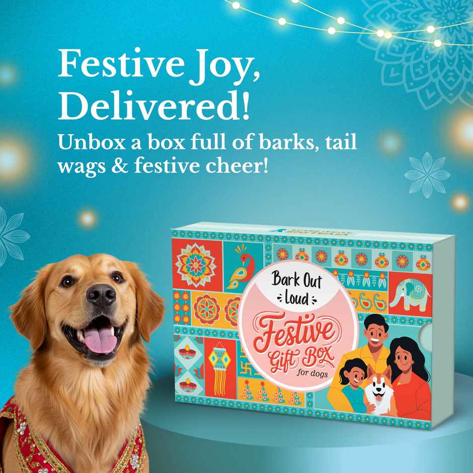 Bark Out Loud Special Dog Gift Box | Treats, Shampoo & Supplements