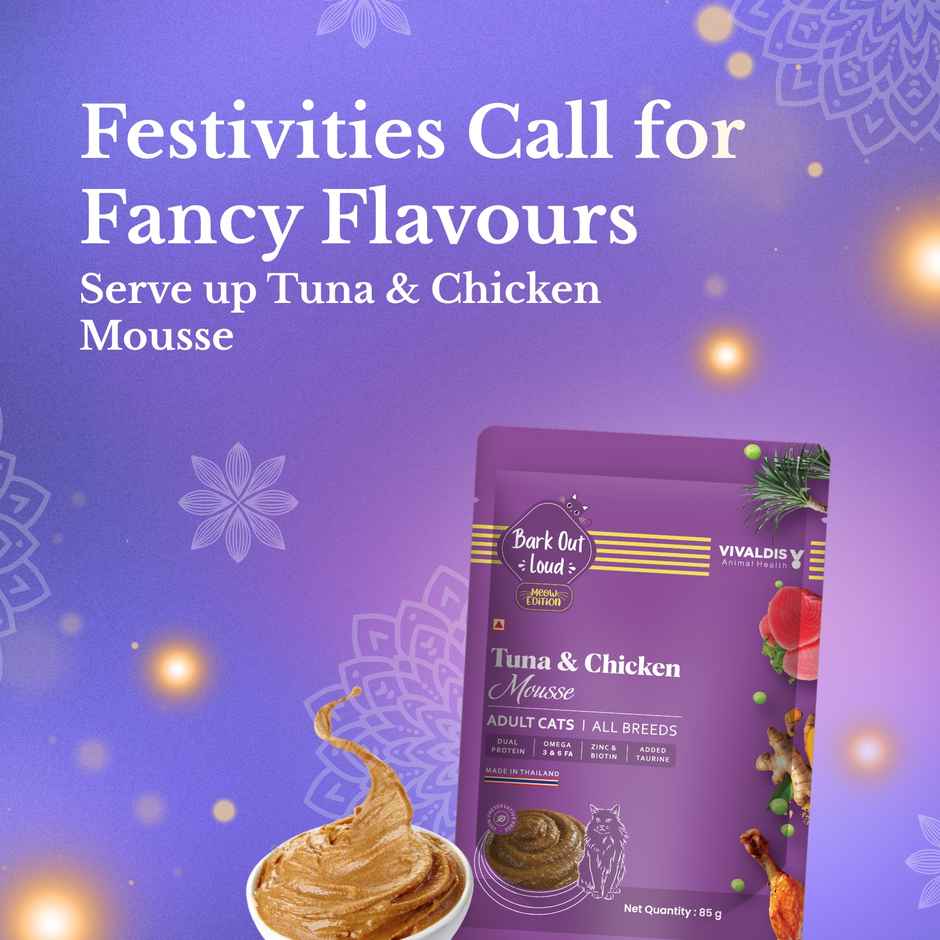 Bark Out Loud Festive Cat Gift Box Combo