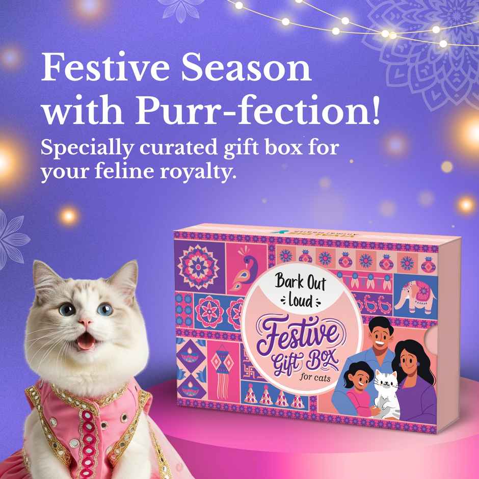 Bark Out Loud Festive Cat