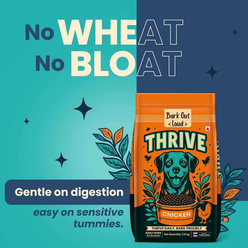 Bark Out Loud Thrive Dog Food Chicken Flavor Adult Dogs 800g All Breeds