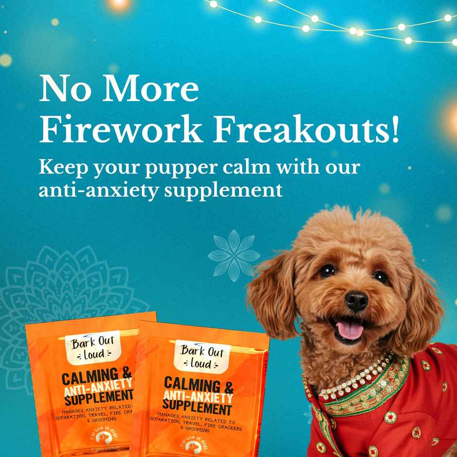 Bark Out Loud Special Dog Gift Box | Treats, Shampoo & Supplements