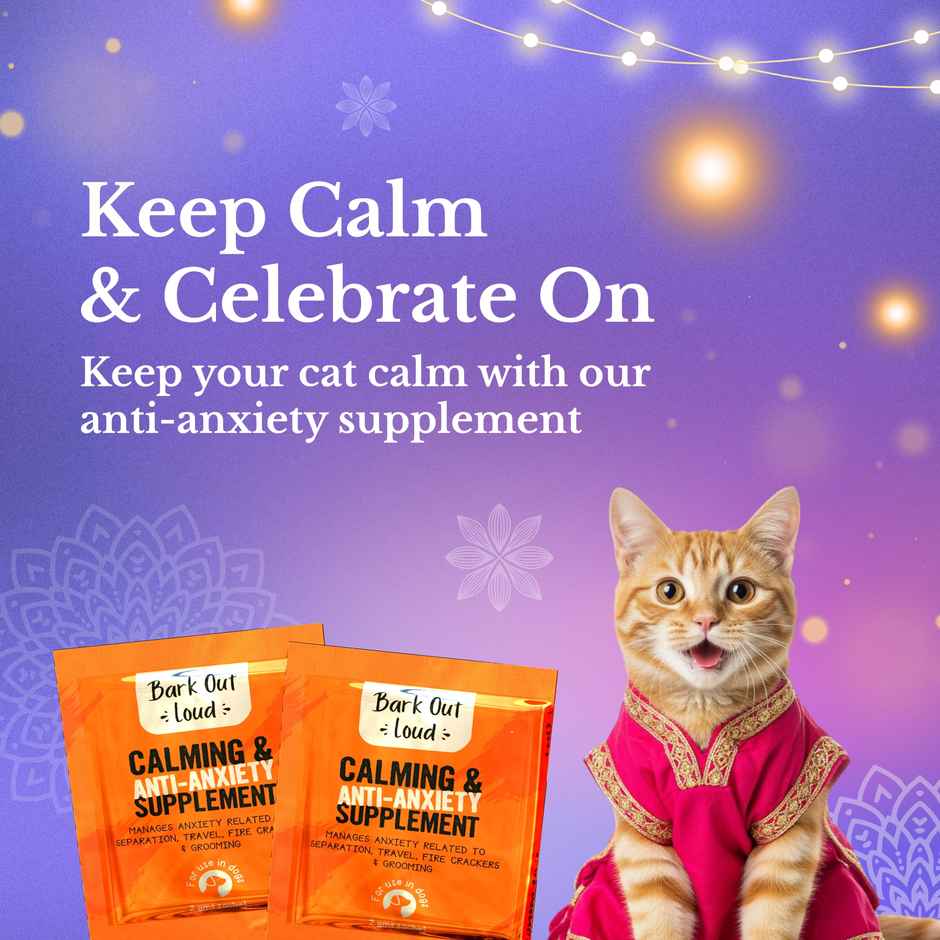 Bark Out Loud Festive Cat