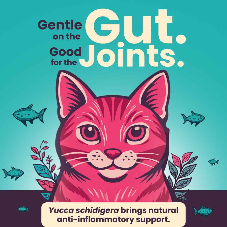 Bark Out Loud Thrive Cat Food Tuna Flavor Adult Cats All Breeds