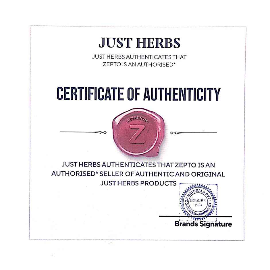 Just Herbs 12 Free Nail Paint-Peony Paradise-32 | Long-Lasting Shine