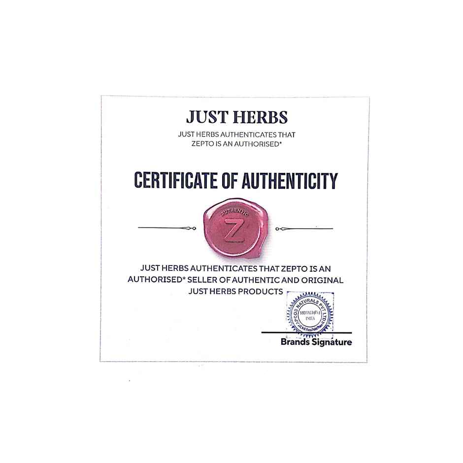 Just Herbs 12 Free Nail Paint-Barbie World-25 | Long-Lasting Shine