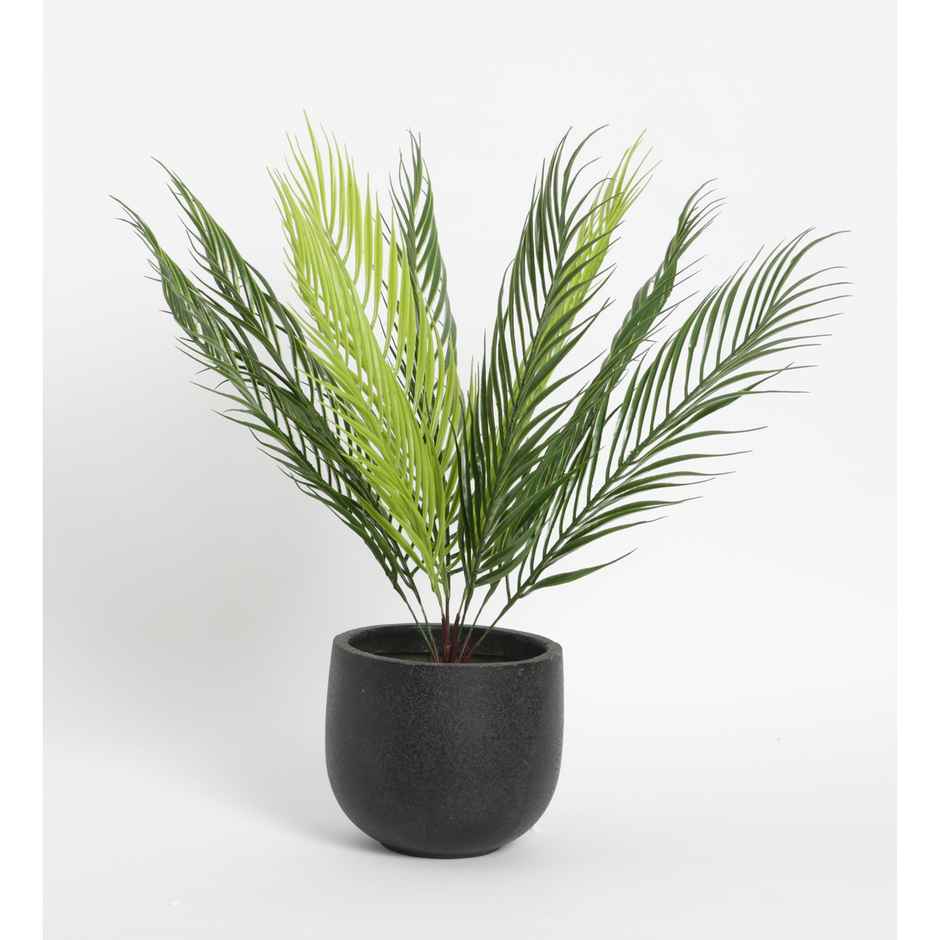 Casacraft by Pepperfry PVC Artificial Areca Plant | Without Pot