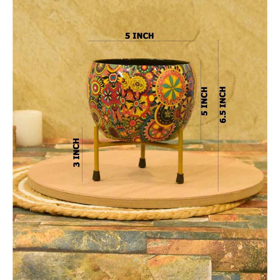 Casacraft by Pepperfry Desk Pot | Multicolor Flowers Design