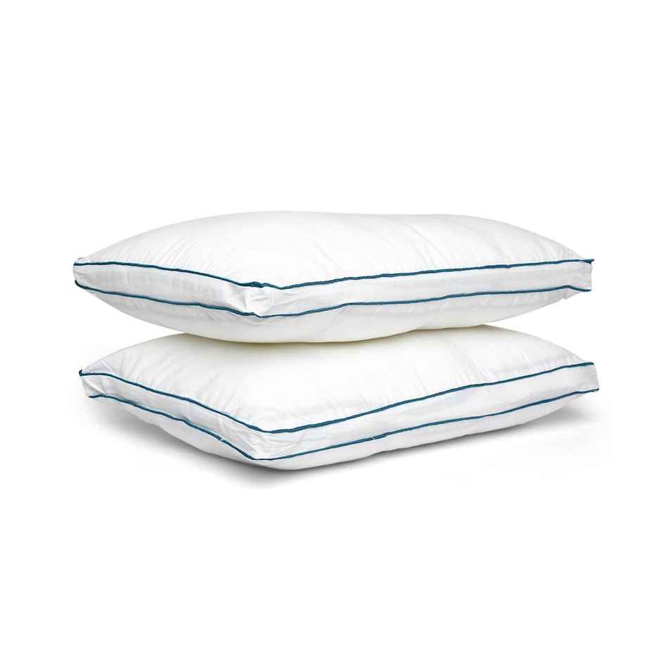 Casacraft by Pepperfry Cushion Inserts Set of 2