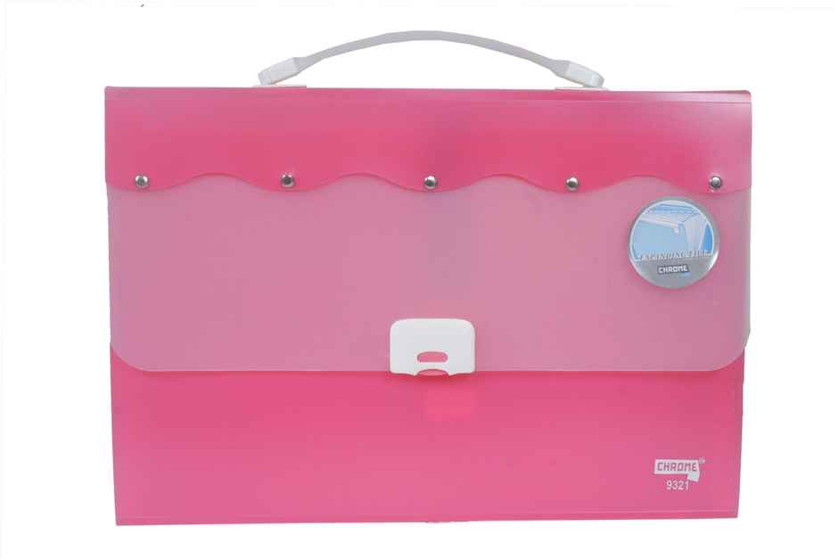 Chrome Expanding File Bag (Colour May Vary)
