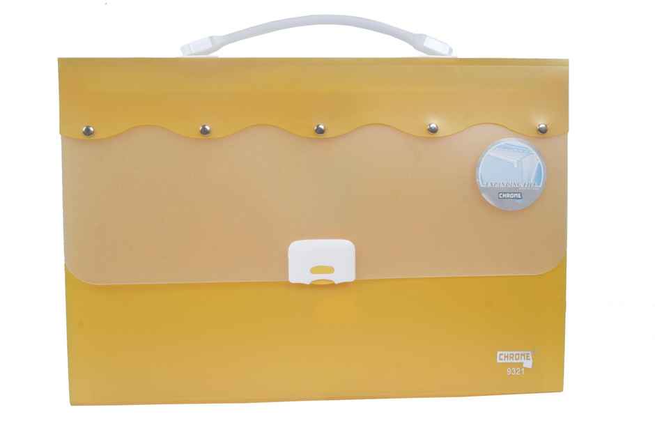 Chrome Expanding File Bag (Colour May Vary)