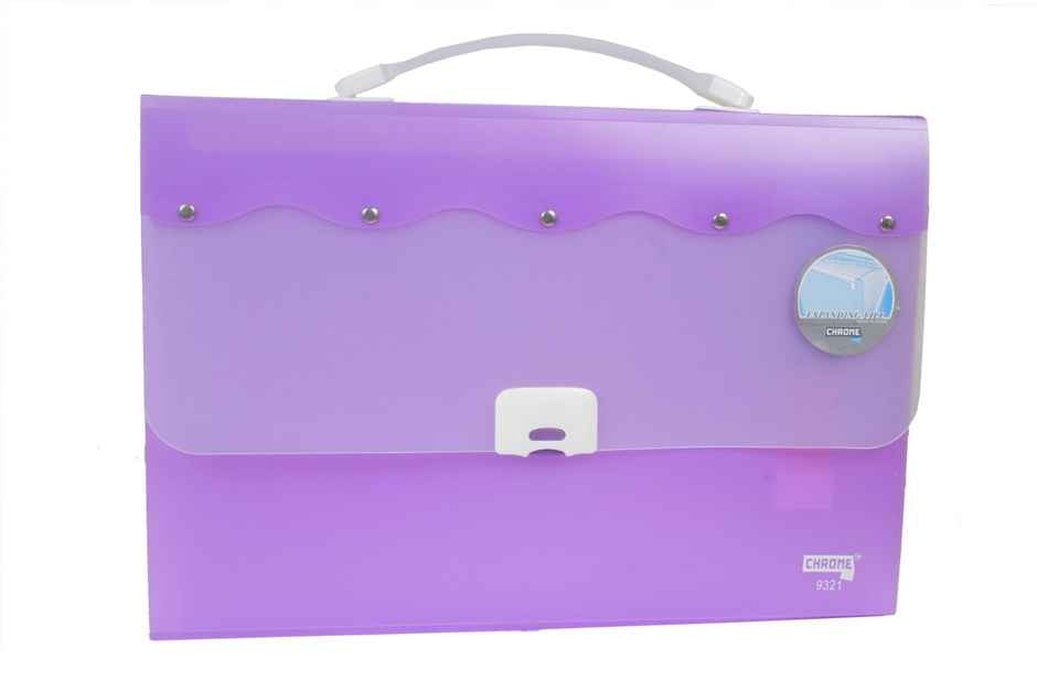 Chrome Expanding File Bag (Colour May Vary)