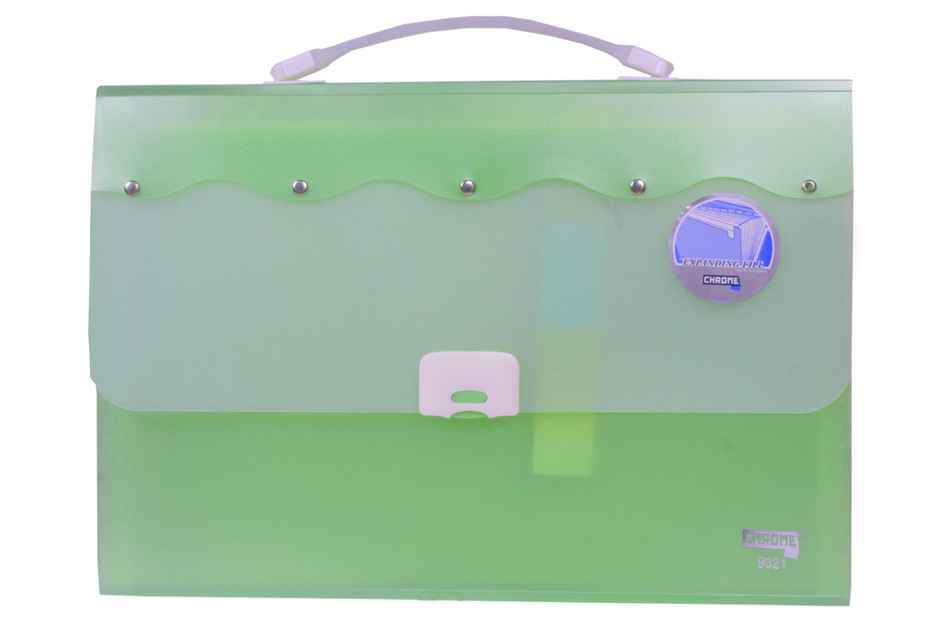 Chrome Expanding File Bag (Colour May Vary)