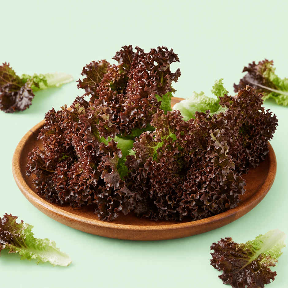 Lettuce Red