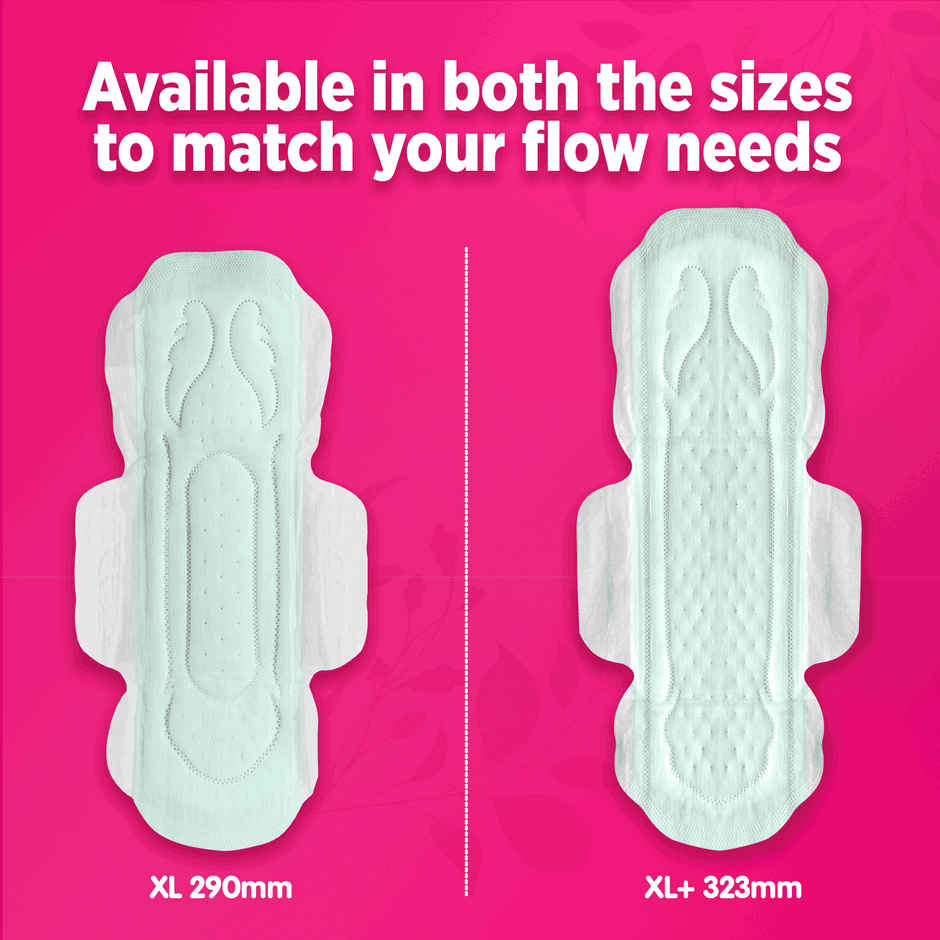 Sofy AntiBacteria XL Sanitary Pads | 6 Layer Deep Absorption | 290mm