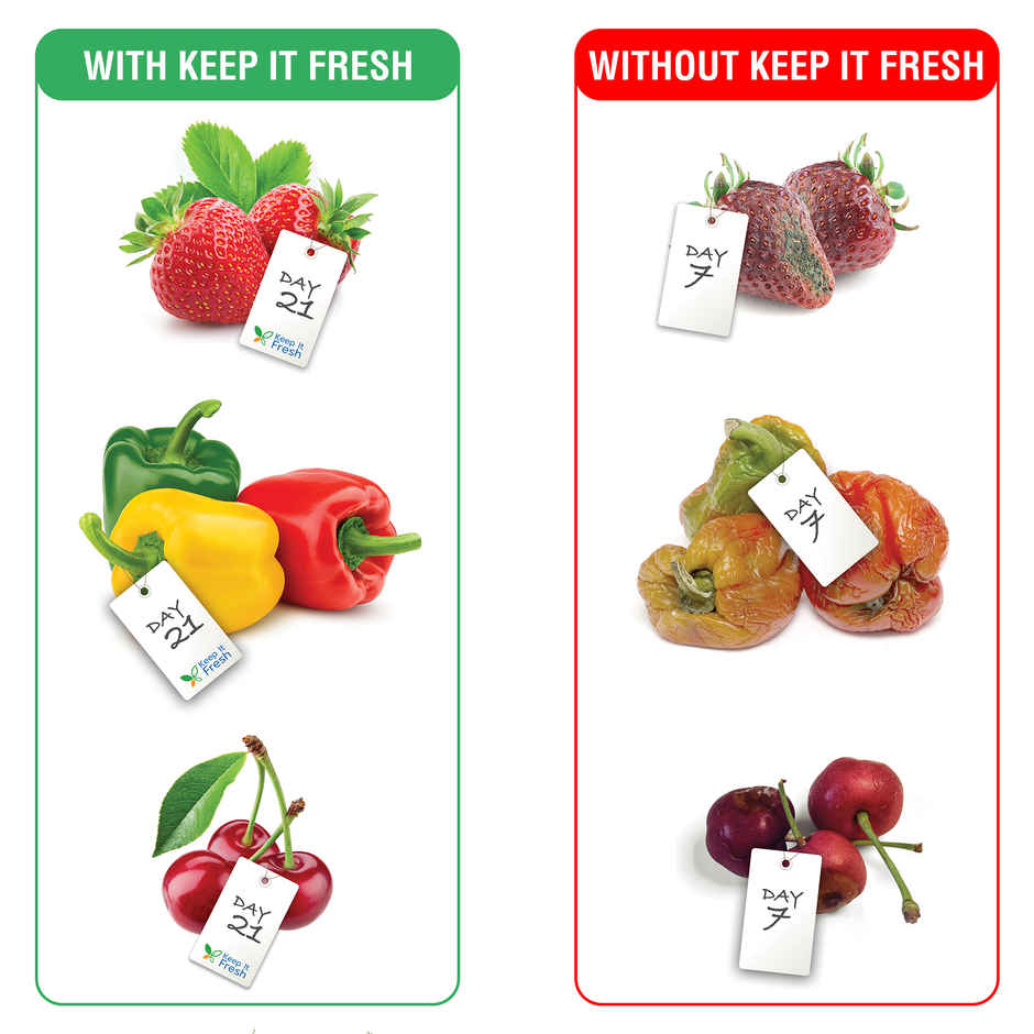 KEEP IT FRESH Reusable Zip Lock Bags | 2L, 2M, 4S | Extends Shelf life of Fruits & Vegetables