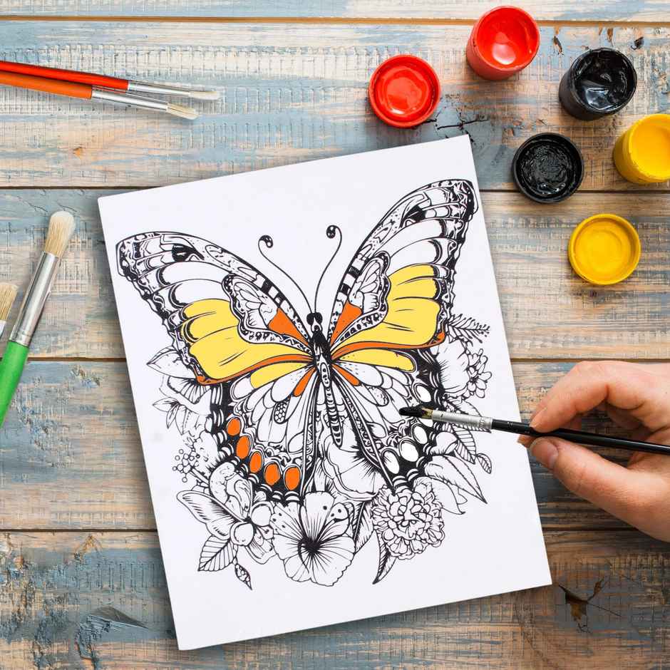 Itsy Bitsy Pre -printed Canvas With Colours Butterfly Beauty Painting Kit 8 x 10 Inch SW LB