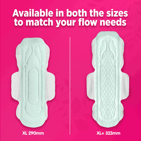 Sofy AntiBacteria XL Sanitary Pads | 6 Layer Deep Absorption | 290mm