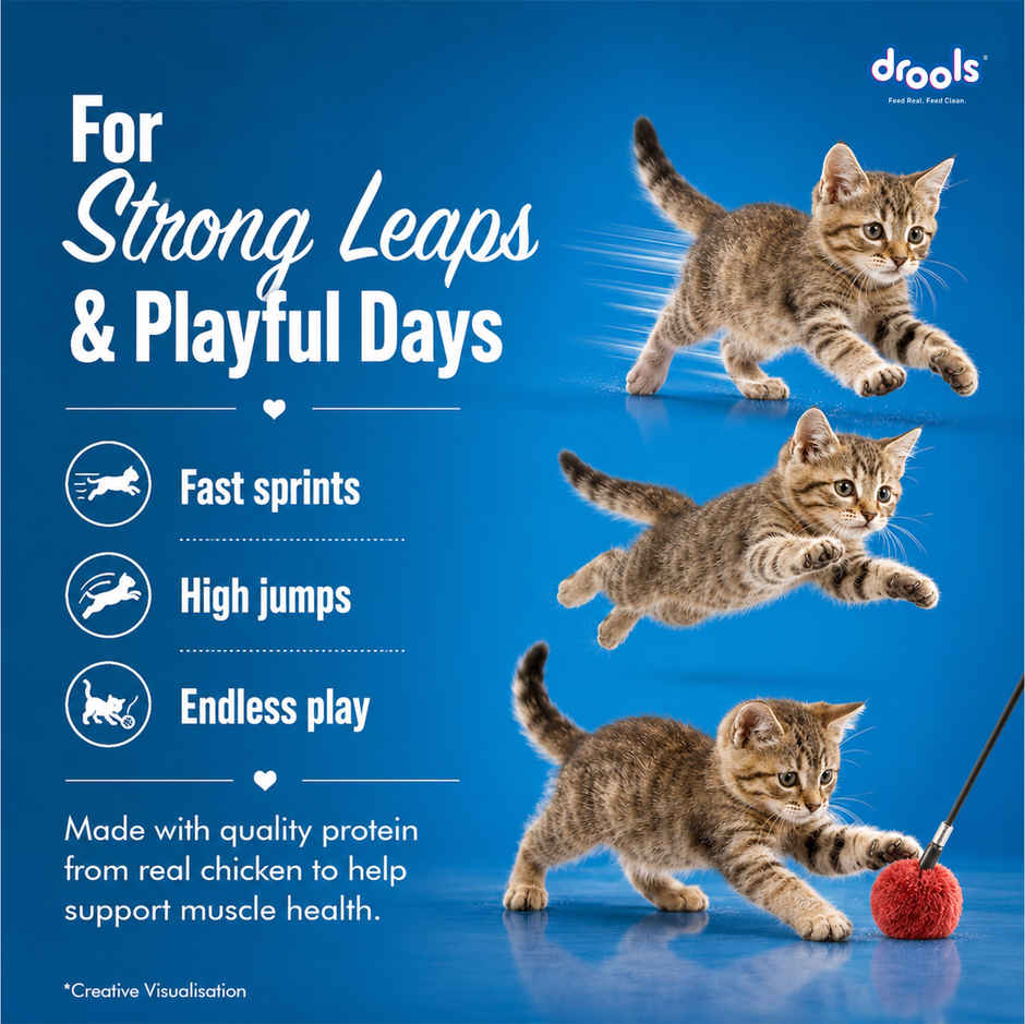 Drools Creamy Lickable Cat Treat - Seafood Medley