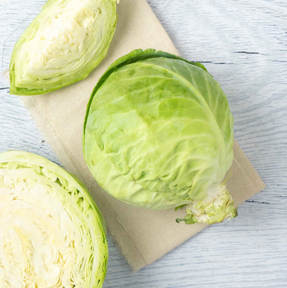 Cabbage