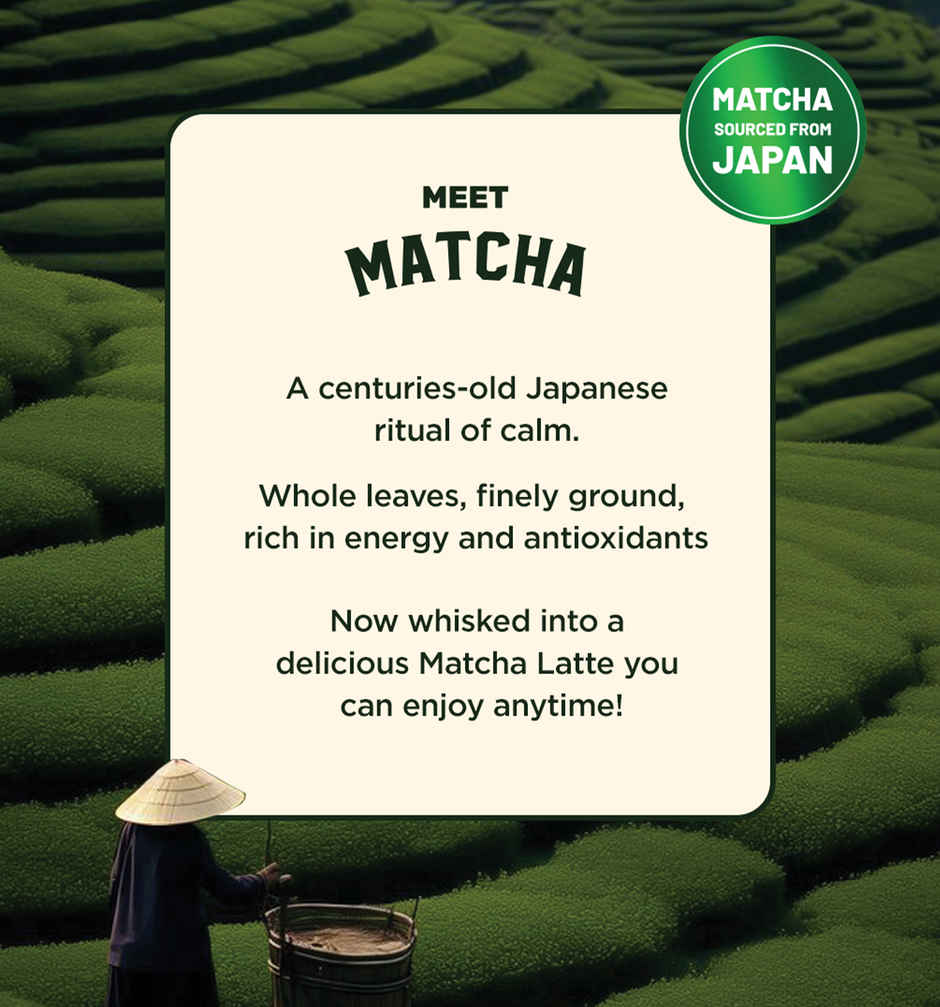 Sleepy Owl Vanilla Matcha Premix Sachet | Authentic Japanese Matcha