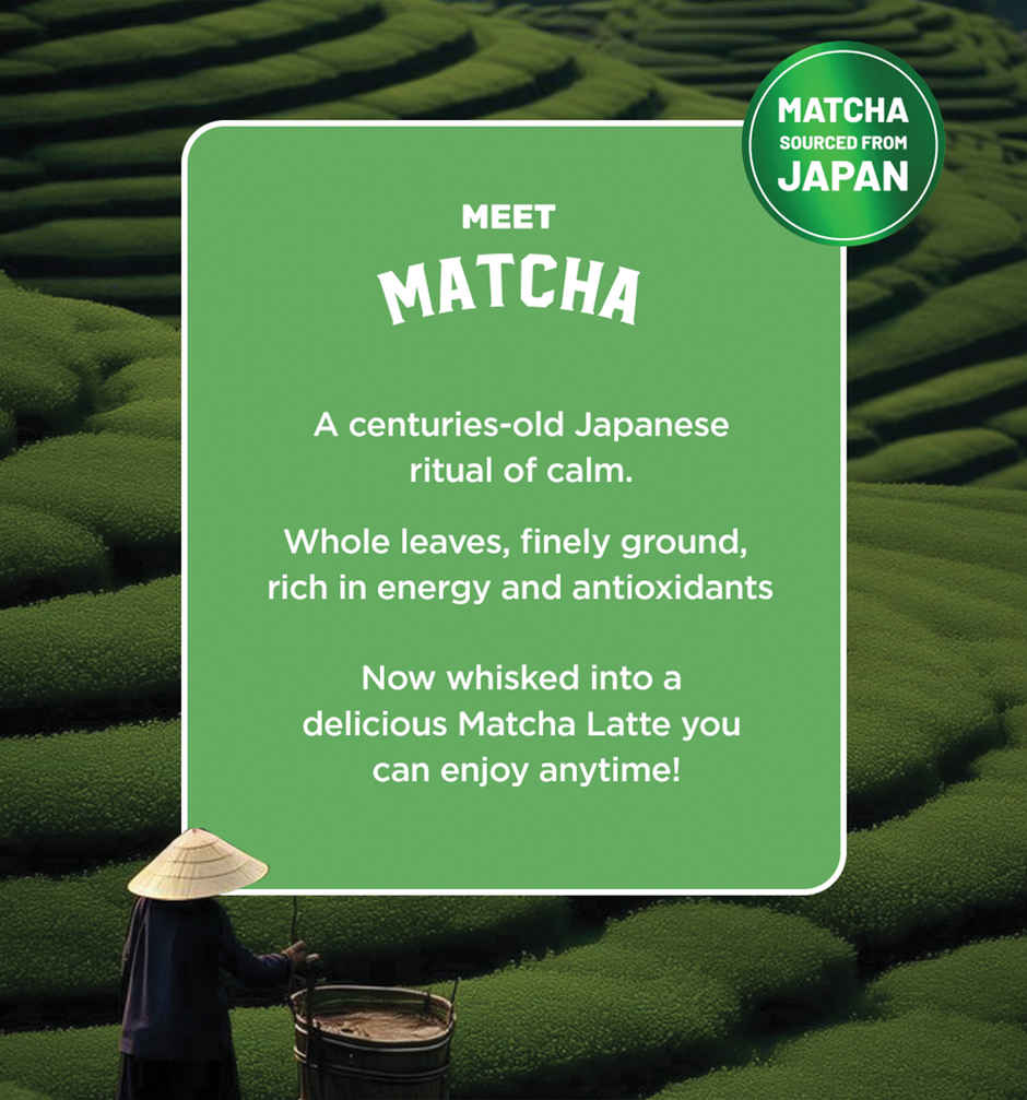 Sleepy Owl Vanilla Matcha Latte Can | Ready to Drink Authentic Japanese Matcha Tea