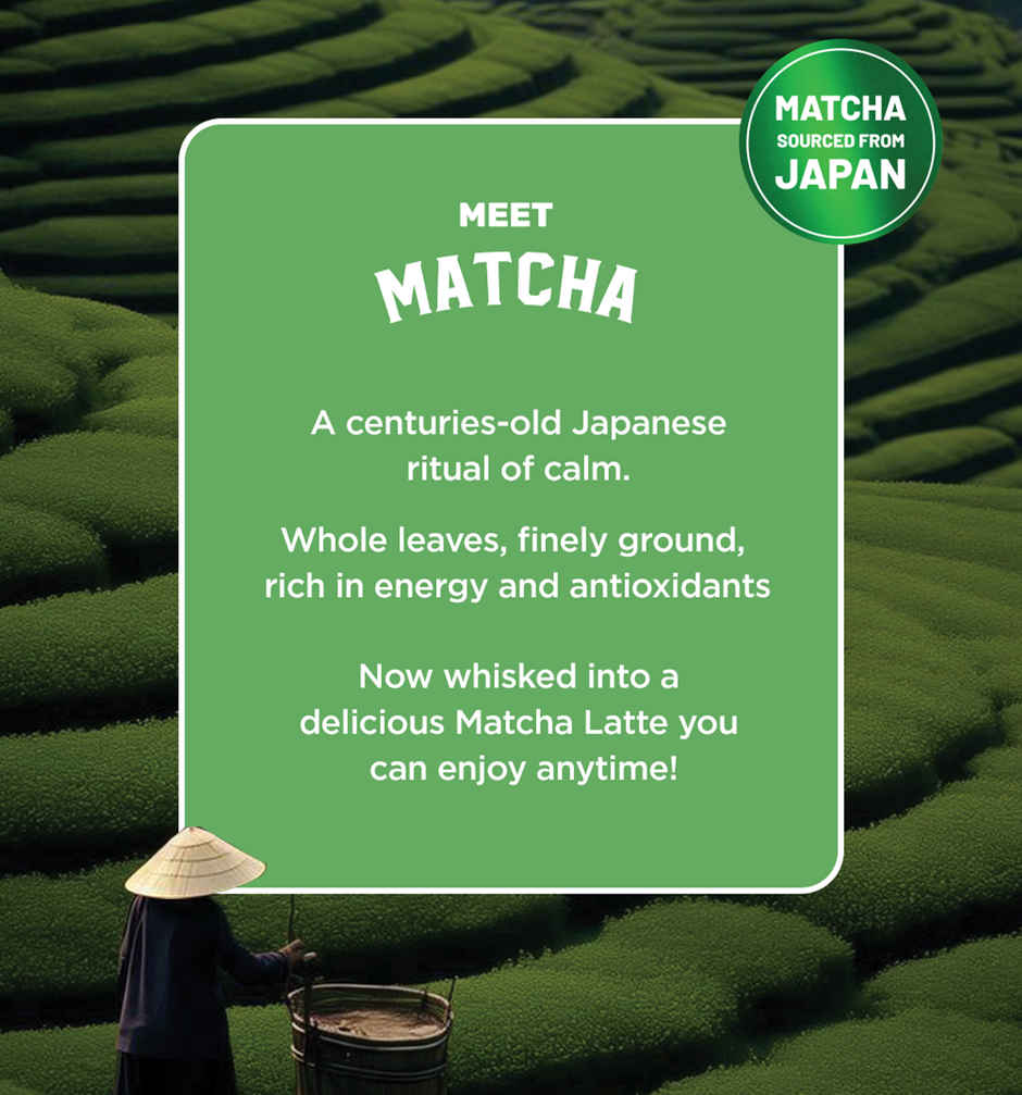 Sleepy Owl Classic Matcha Tea Premix Sachet Authentic Japanese Matcha Latte