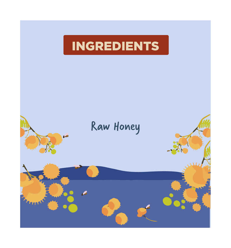 Two Brothers Multifloral Forest Honey | Unpasteurized | Unprocessed Raw Honey