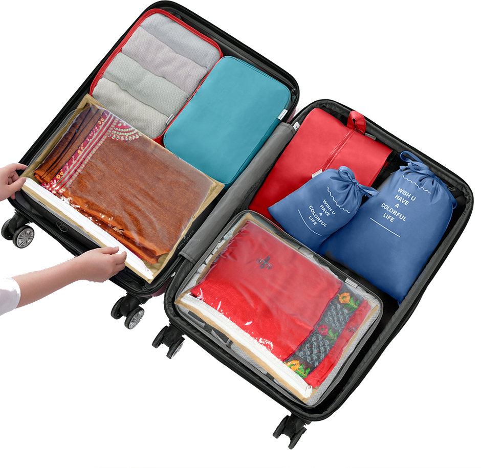 Homestrap Set Of 10 Non Woven Foldable Single Saree Covers - Assorted