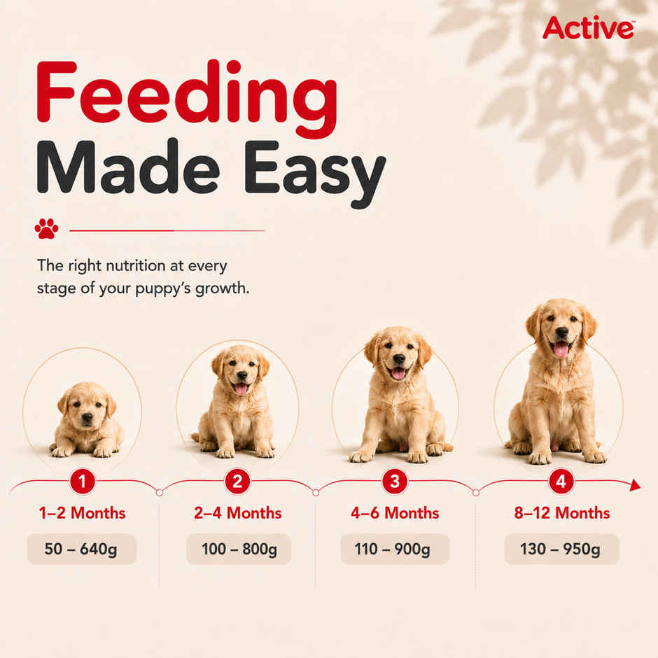Active Puppy Chicken And Vegetables Dry Dog Food